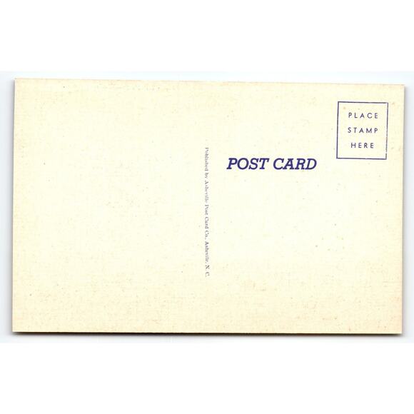 Vintage 1950s Linen Comic Postcard Whistle on the Still Humor - Picture 2 of 2